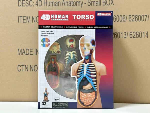 新品未開封 4D立体パズル ヒューマン 人体胴体 解剖モデル Human Torso 626003 Anatomy Model Fame Master 4D master 知育玩具 STEM
