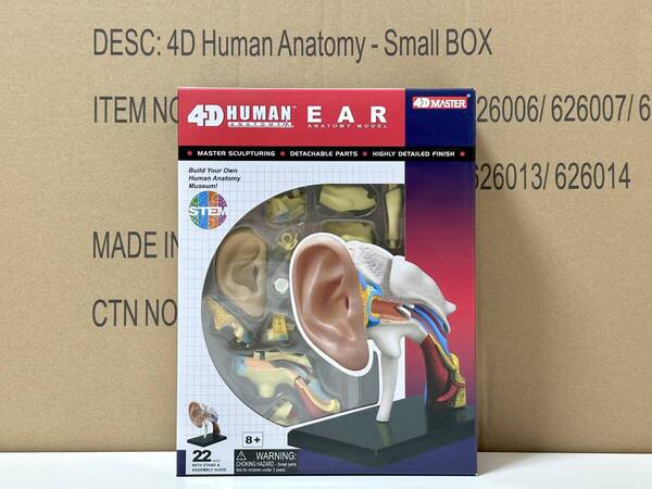 新品未開封 4D立体パズル 耳 人体解剖モデル 4D Human 626007 Ear Anatomy Model Fame Master 4D master 知育玩具 STEM