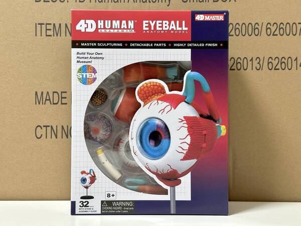 新品未開封 4D立体パズル 眼球 人体解剖モデル 4D Human 626006 Eyeball Anatomy Model Fame Master 4D master 知育玩具 STEM