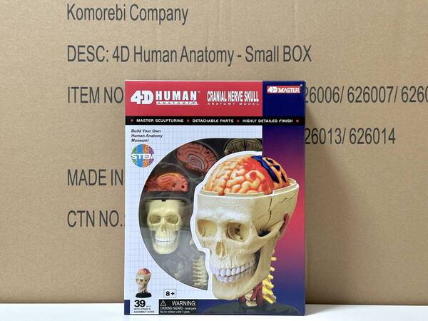 新品未開封 4D立体パズル 脳神経頭蓋骨 人体解剖モデル 4D Human 626005 Cranial Nerve Skull Anatomy Model 4D master 知育玩具 STEM