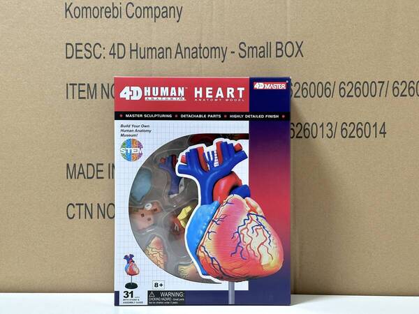 新品未開封 4D立体パズル 心臓 人体解剖モデル 4D Human 626004 Heart Anatomy Model Fame Master 4D master 知育玩具 STEM