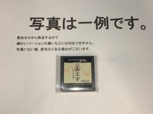 中古C★DS美文字トレーニング/ソフト単体★ニンテンドーDSソフト