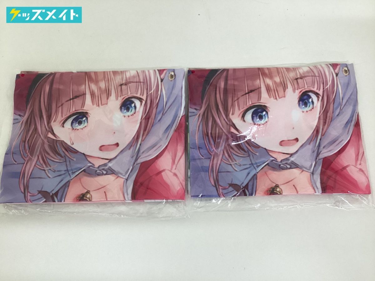 非売品】ロロナのアトリエ アーランドの錬金術士 B2 サイズ ポスター ②