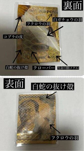 白蛇の抜け殻 2025年 蛇年 金運 開運 魔除け 守り神