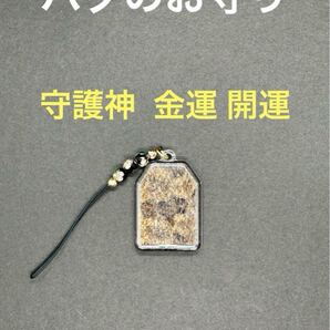 ハブのお守り 守護神 金運 開運 家内安全 奄美大島