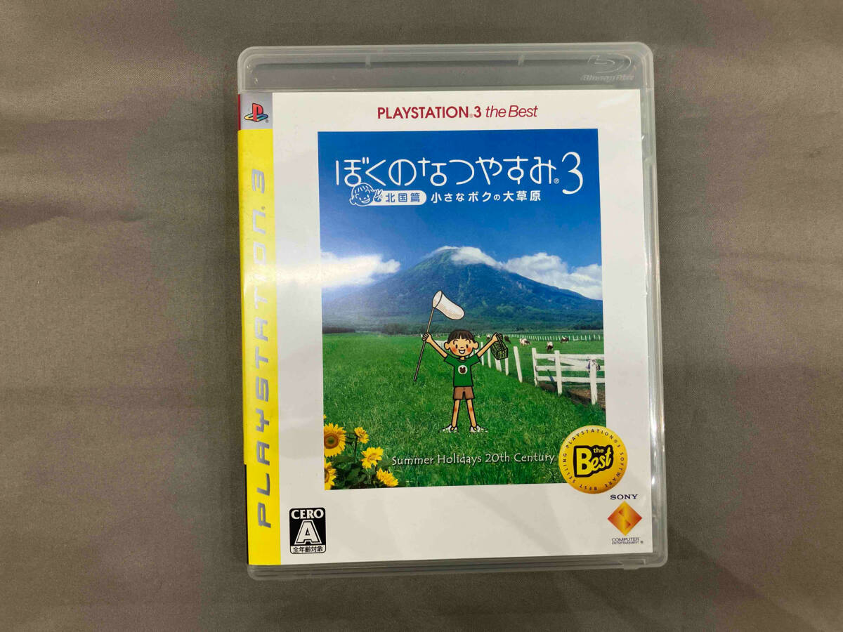 2025年最新】Yahoo!オークション -ぼくのなつやすみ3の中古品