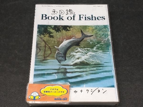 Yahoo!オークション -「サカナクション 魚図鑑」の落札相場 Yahoo!オークション -「サカナクション 魚図鑑」の落札相場