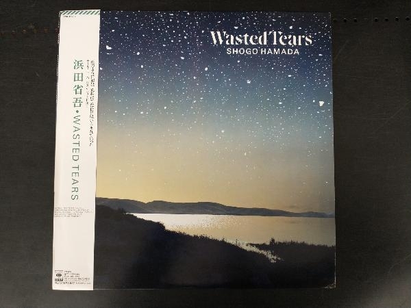 Yahoo!オークション -「浜田省吾 wasted tears lp」の落札相場 Yahoo!オークション -「浜田省吾 wasted tears lp」の落札相場