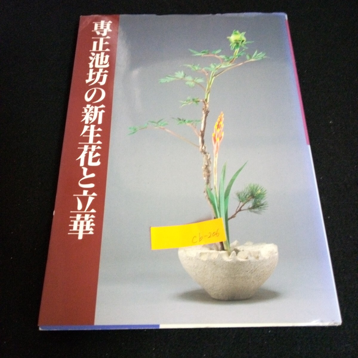 Yahoo!オークション -「池坊 生花」(本、雑誌) の落札相場・落札価格 Yahoo!オークション -「池坊 生花」(本、雑誌) の落札相場・落札価格
