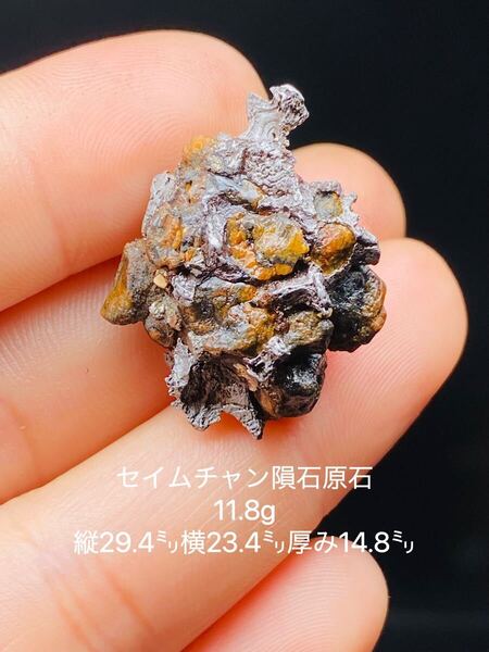 セイムチャン隕石原石 隕石 石鉄隕石 パラサイト隕石 小型隕石原石 11.8g 23.4㍉ 高品質 原石 ロシア隕石 セイムチャン 宇宙