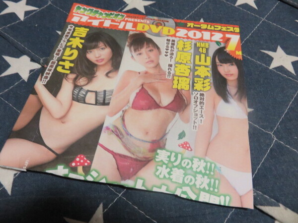 ヤングチャンピオン2012年21号付録DVD 元NMB48 山本彩 吉木りさ 杉原杏璃 岸明日香 原幹恵 匿名配送