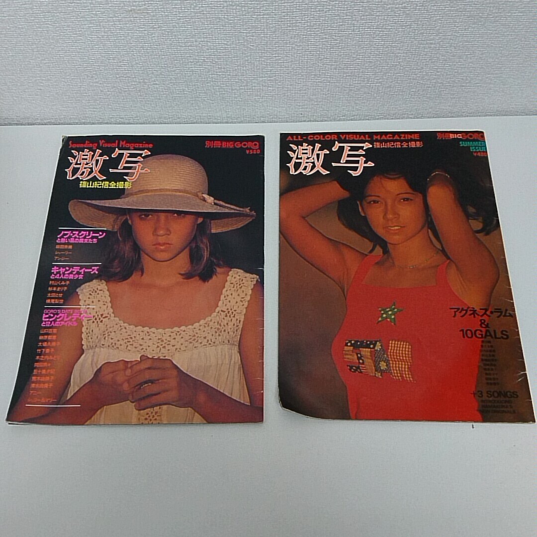 Yahoo!オークション -「激写 別冊big goro」の落札相場・落札価格