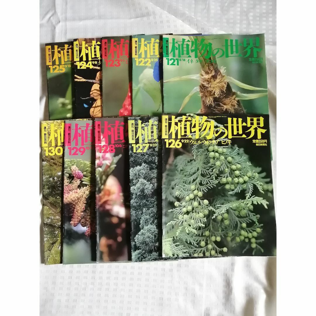 2025年最新】Yahoo!オークション -朝日百科 植物の世界の中古品 2025年最新】Yahoo!オークション -朝日百科 植物の世界の中古品