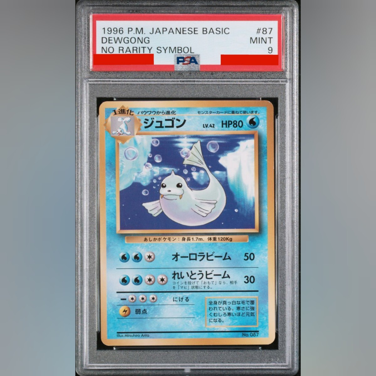 Yahoo!オークション -「ジュゴン」(ポケモンカードゲーム Yahoo!オークション -「ジュゴン」(ポケモンカードゲーム