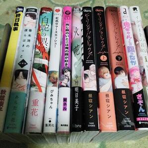 【11冊セット】おまけ12種付☆白蛇の誤算/火花 中村明日美子/ヒーリングパラドックス/イグナートの花嫁 もりもより 他