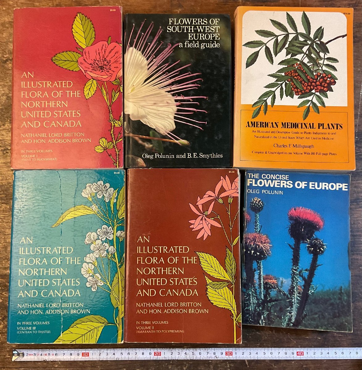 2025年最新】Yahoo!オークション -植物図鑑 洋書の中古品・新品 2025年最新】Yahoo!オークション -植物図鑑 洋書の中古品・新品