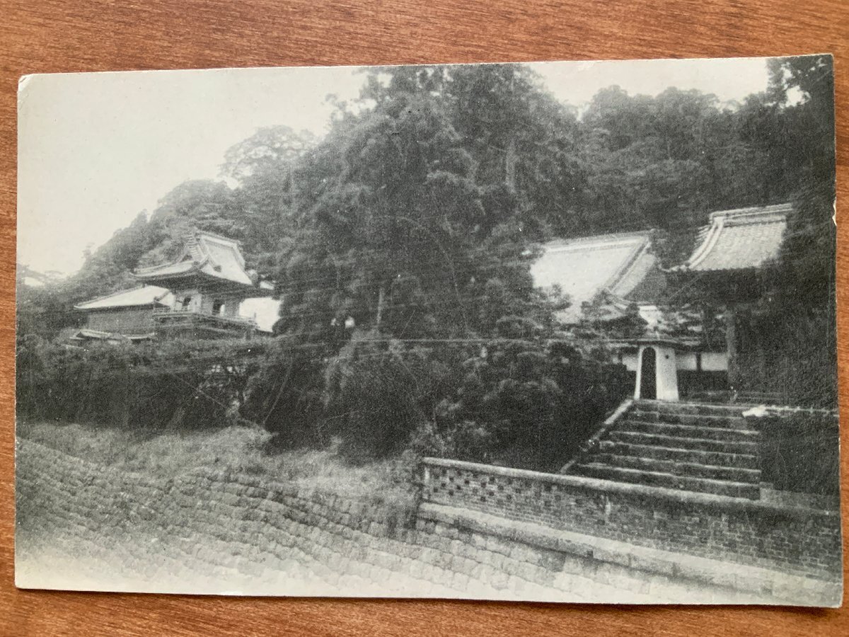 2025年最新】Yahoo!オークション -静岡市 写真の中古品・新品 2025年最新】Yahoo!オークション -静岡市 写真の中古品・新品