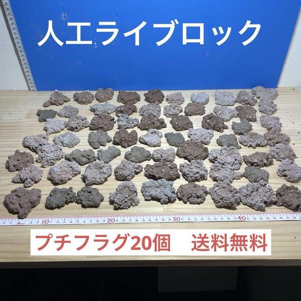 人工ライブロック プチプラグ20個 アク抜き済み安心塗料使用