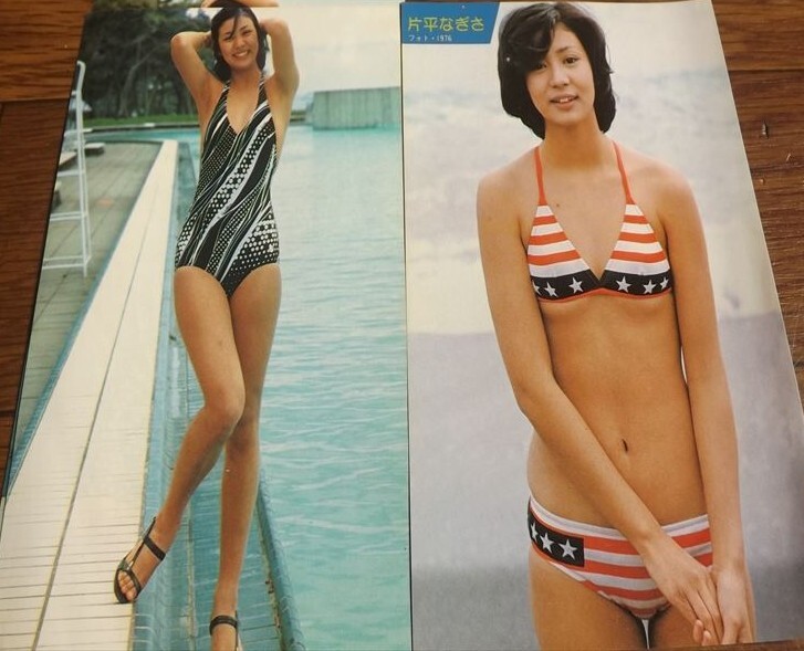 Yahoo!オークション -「片平なぎさ 水着」(本、雑誌) の落札相場 Yahoo!オークション -「片平なぎさ 水着」(本、雑誌) の落札相場