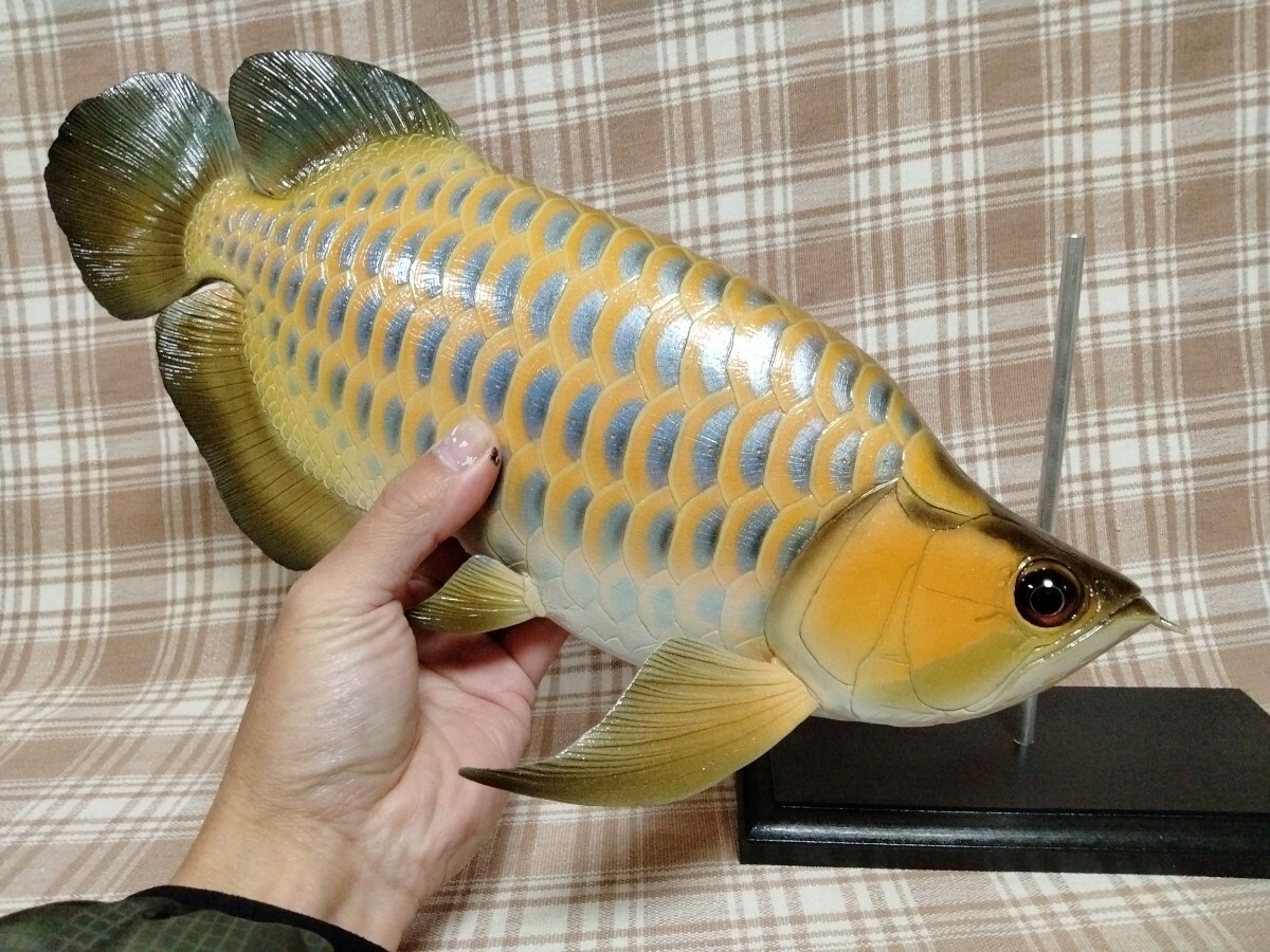 Yahoo!オークション -「魚 レプリカ」の落札相場・落札価格 Yahoo!オークション -「魚 レプリカ」の落札相場・落札価格
