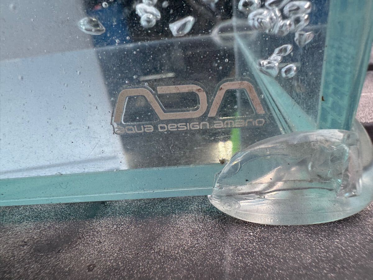 Yahoo!オークション -「ada 水槽」(水槽) (魚、水草)の落札相場 Yahoo!オークション -「ada 水槽」(水槽) (魚、水草)の落札相場
