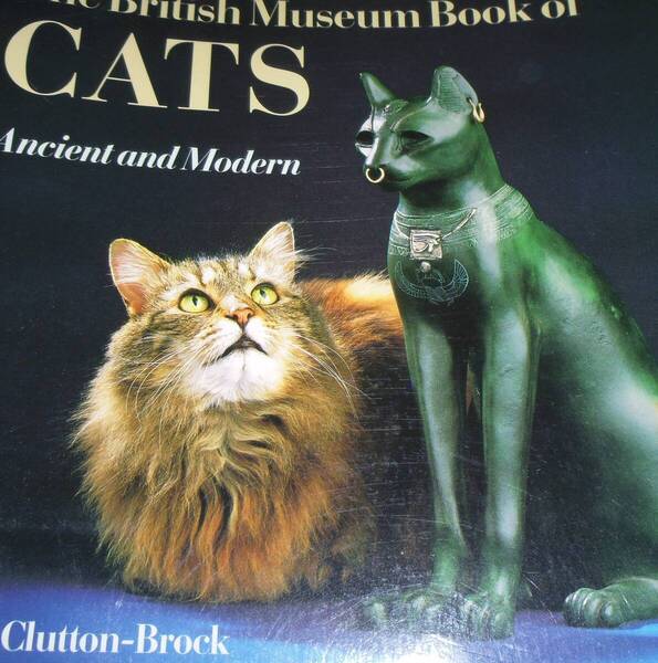 The British Museum Book of CATS Ancient and Modern