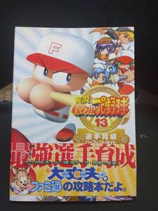 ▲中古■攻略本■PS2 実況パワフルプロ野球13 選手育成パーフェクトガイド■ネコポス発送対応