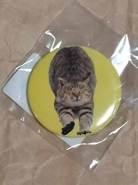 岩合光昭 写真展会場 限定 猫 缶バッジ 背伸び 新品 世界ネコ歩き 展覧会グッズ ねこ ネコ Mitsuaki Iwago cat Can badge PinBack Button