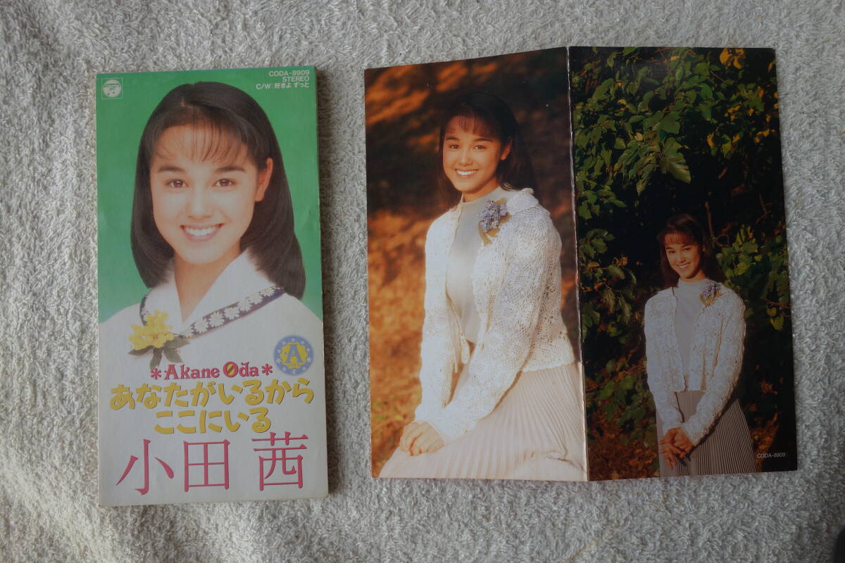 2025年最新】Yahoo!オークション -小田茜(音楽)の中古品・新品