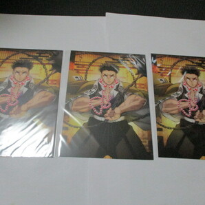 新品 匿名発送 送料無料 アニメ化 最安値 鬼滅の刃 柱稽古編 完全生産限定版 特典 スクラッチカード 悲鳴嶋 3点セット