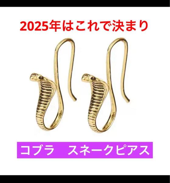2025年 干支 巳年 蛇 スネーク コブラ フープピアス ゴールド シルバー 両耳 個性的 新品