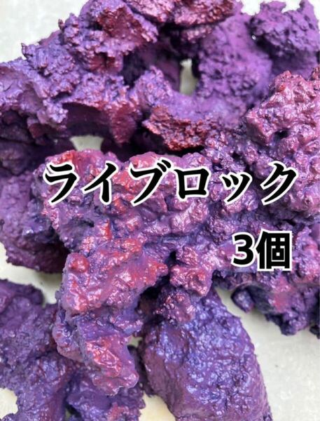 【送料無料】ライブロック 4個(背景、レイアウト、水質、レプリカ、多孔質、バクテリア)