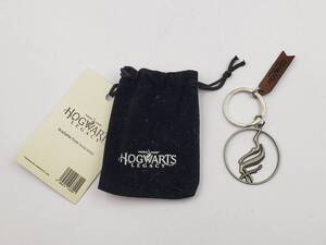 新品 未使用 ホグワーツ・レガシー Hogwarts Legacy 海外限定 購入特典 古代の魔法 Ancient Magic キーホルダー Key Holder ソフトなし