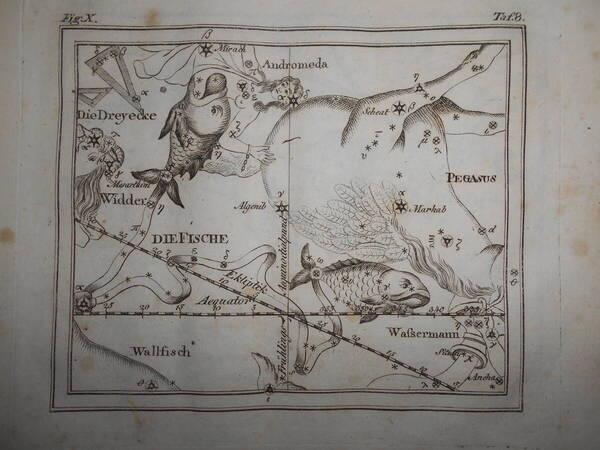 即決1805年ドイツ『メイシナー星図帳PL8魚座天馬座』天球図 天文 アンティーク 星図、星座早見盤Astronomy, Star map, Planisphere