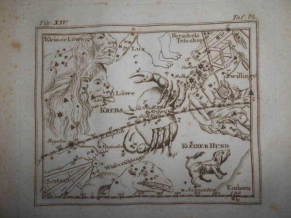 即決1805年ドイツ『メイシナー星図帳PL12蟹座』天球図 天文 アンティーク 星図、星座早見盤Astronomy, Star map, Planisphere
