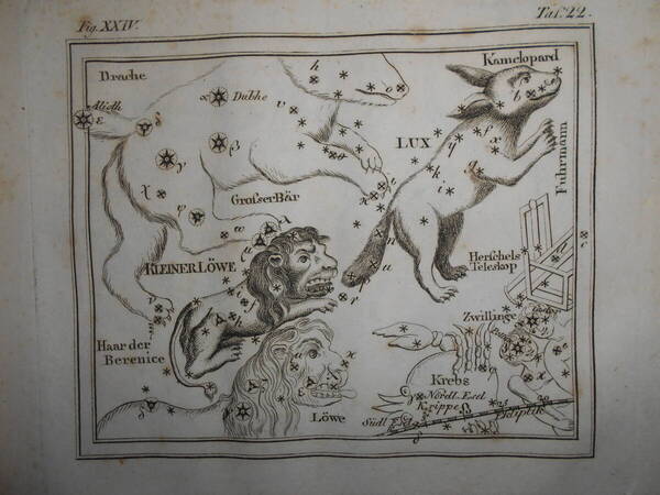 即決1805年ドイツ『メイシナー星図帳PL22山猫座』天球図 天文 アンティーク 星図、星座早見盤Astronomy, Star map, Planisphere