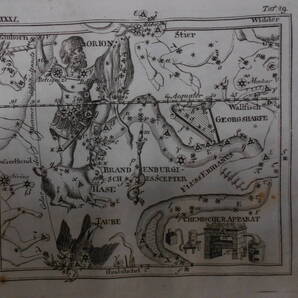 即決1805年ドイツ『メイシナー星図帳PL29オリオン座』天球図 天文 アンティーク 星図、星座早見盤Astronomy, Star map, Planisphere