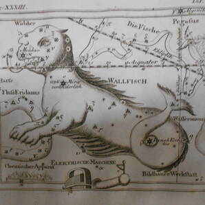 即決1805年ドイツ『メイシナー星図帳PL31くじら座』天球図 天文 アンティーク 星図、星座早見盤Astronomy, Star map, Planisphere