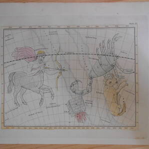 即決1824年米国『グリーン星図=ボーデの星図PL13さそり座他』天文アンティーク 星座早見盤 天体望遠鏡Astronomy, Star map, Planisphere