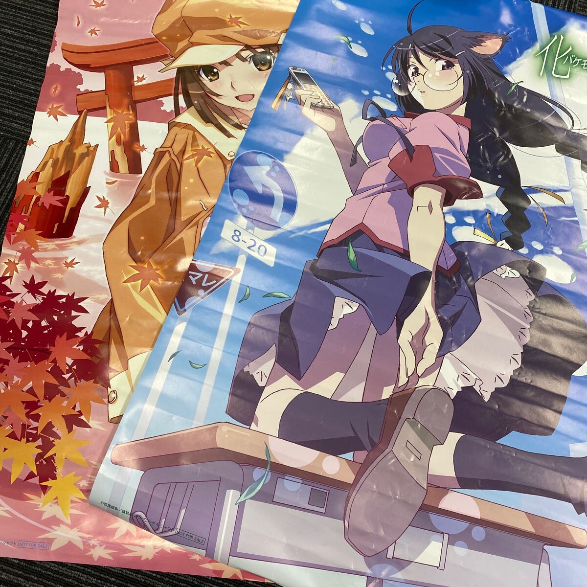Amazon.co.jp: 化物語 第五巻/つばさキャット 上【完全生産限定