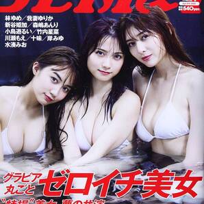 週刊プレイボーイ 2021年 4/5号 桃月なしこ アンジェラ芽衣 黒木ひかり 林ゆめ 我妻ゆりか 新谷姫加 川瀬もえ 他