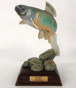 中古トレーディングフィギュア オイカワ(婚姻色) 「ネイチャーテクニカラー 日本の清流」