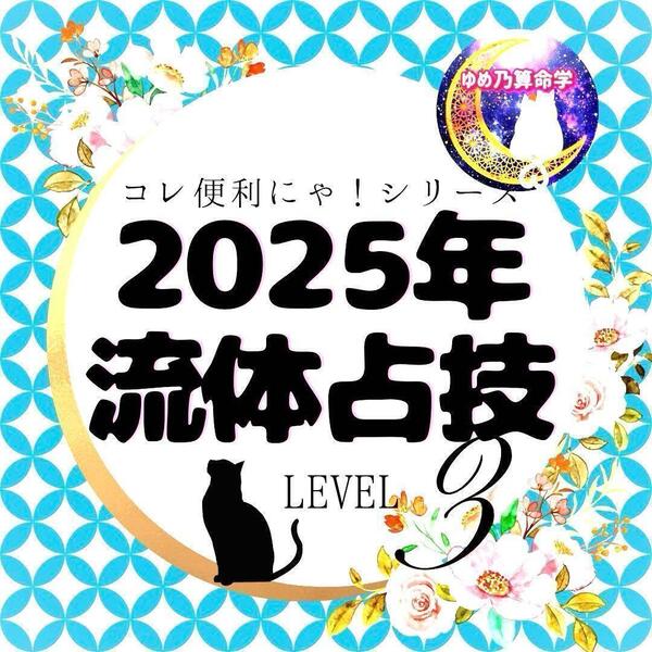 【便利】2025 乙巳年 流体占技カレンダーレベル3 独学 鑑定 本 占い