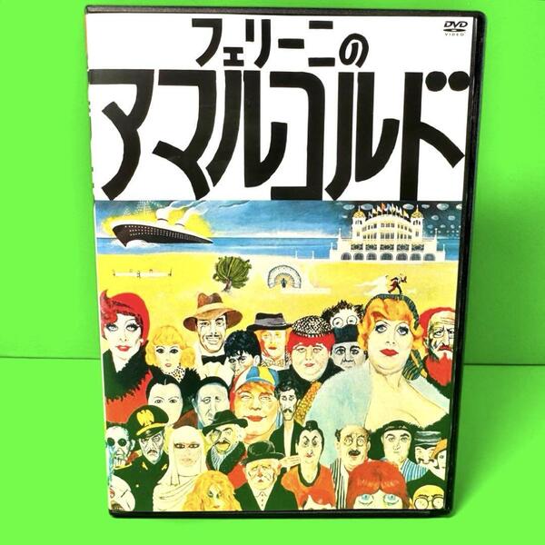 新品ケース収納 フェリーニのアマルコルド DVD 送料無料 / 匿名配送