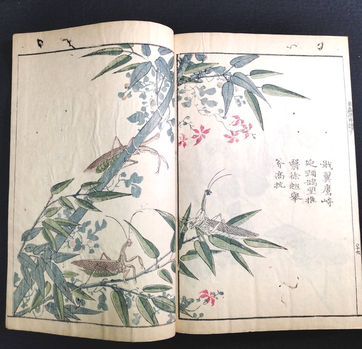 Yahoo!オークション -「芥子園画伝」(本、雑誌) の落札相場 Yahoo!オークション -「芥子園画伝」(本、雑誌) の落札相場