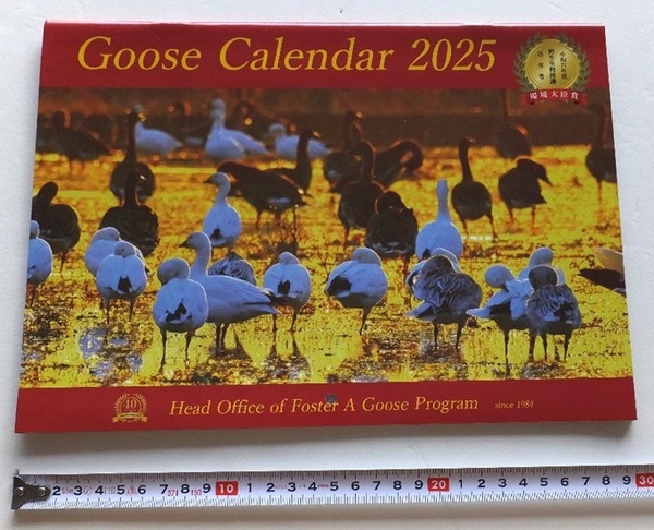 《送料無料》未使用・未記入★GOOSE CALENDAR 2025★野鳥のカレンダー 雁の里親友の会★壁掛けカレンダー★渡り鳥 コクガン