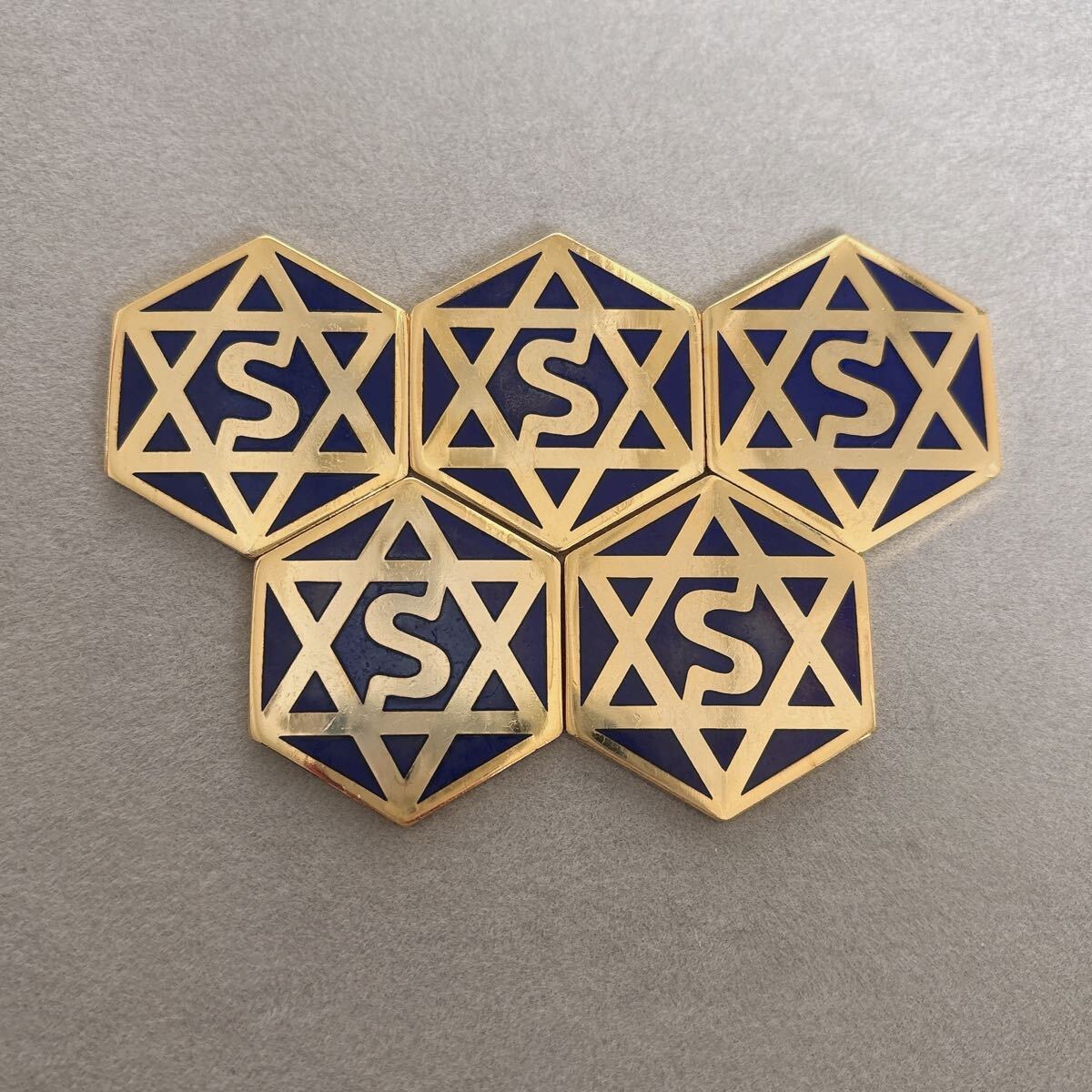 SE研究所 セリストン パワーメタル コイン ヘキサゴン 金属製 6