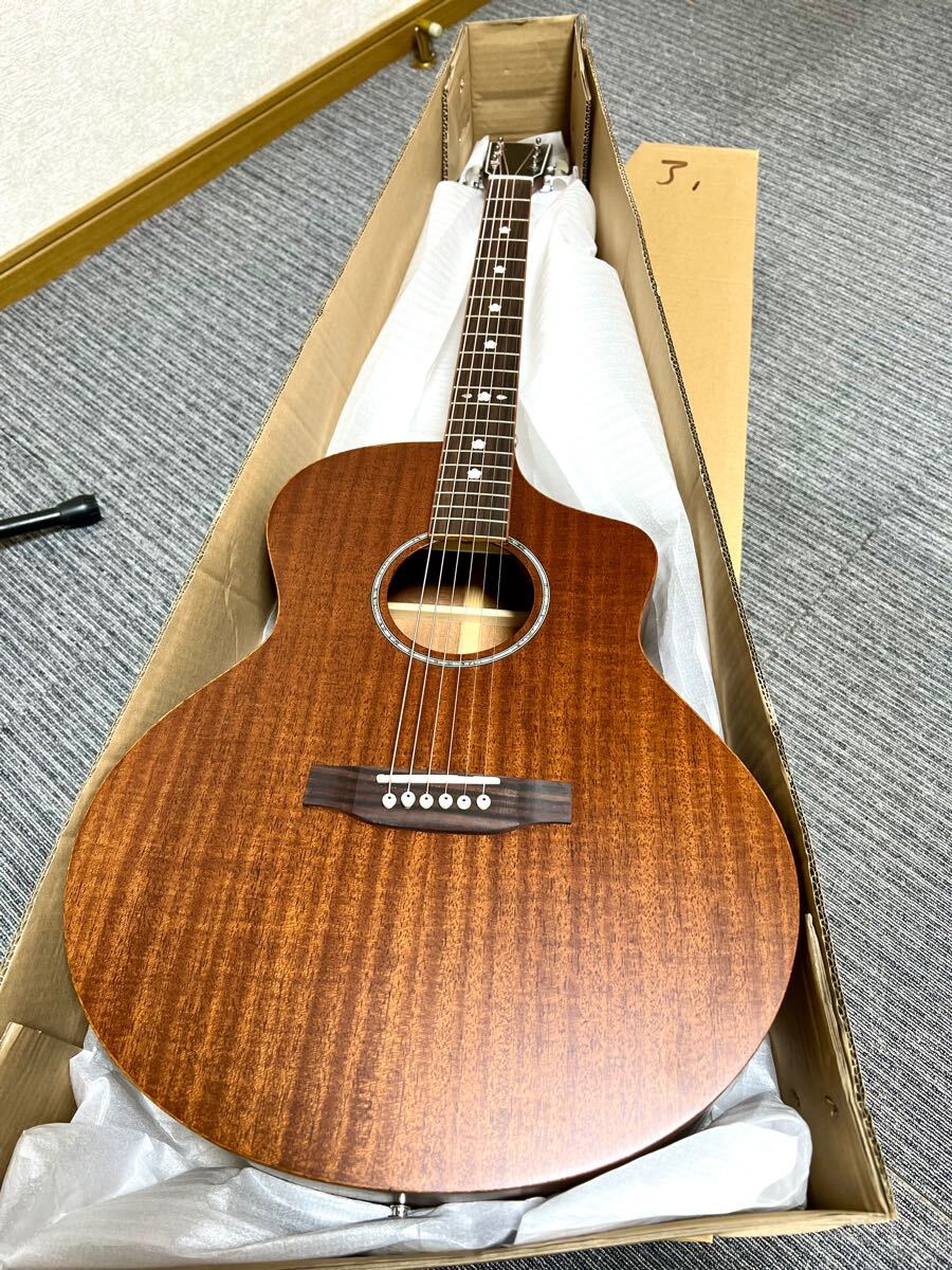 謎の総単板アコースティックギター Yahoo!オークション -「総単板」(本体) (アコースティックギター