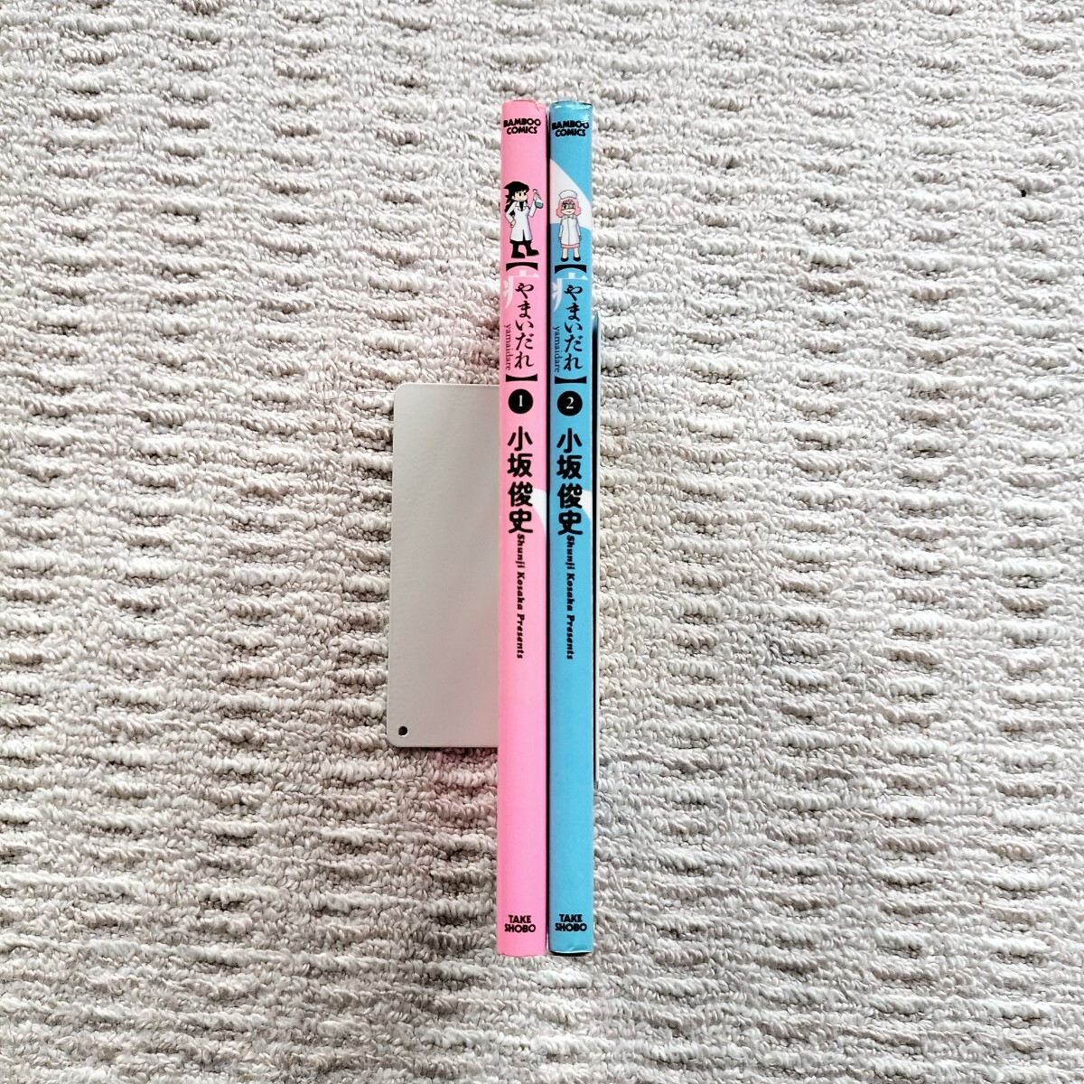 【中古】 やまいだれ ２/竹書房/小坂俊史 中古】 やまいだれ 2/竹書房/小坂俊史 駿河屋 - 【買取】やまい