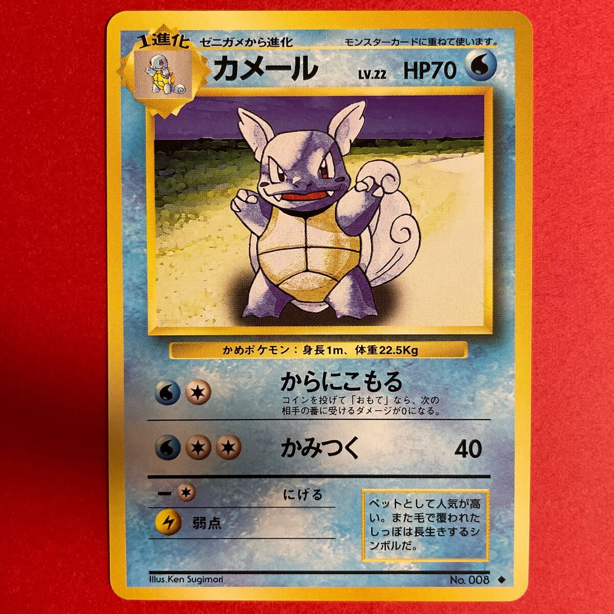 Yahoo!オークション -「ポケモンカード 旧裏面 カメール Yahoo!オークション -「ポケモンカード 旧裏面 カメール